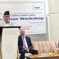 दुई होइन, नेपाल तीन ढुङ्गाबिचको तरुल