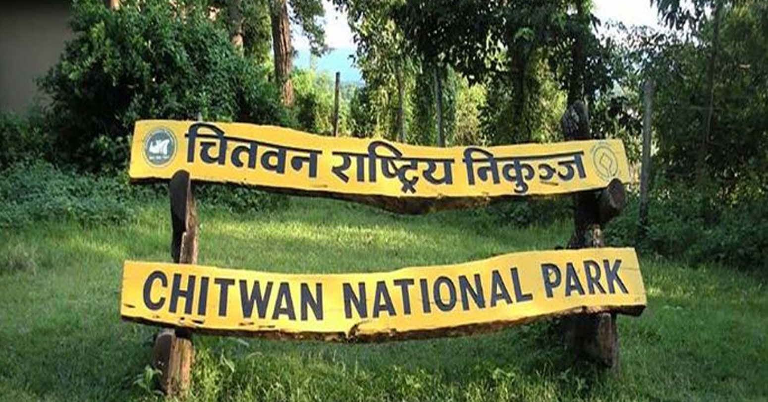 चितवन निकुञ्ज वरपर चोरीसिकारी नियन्त्रण गर्न ‘स्पाई क्यामेरा’ जडान