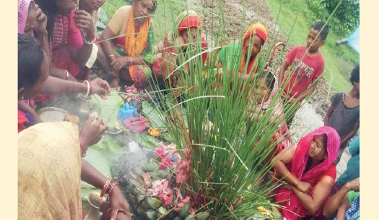 समावेशीकरणको दिशामा नयाँ फड्को : गोरखापत्रद्वारा प्रकाशित ताजपुरिया  भाषा