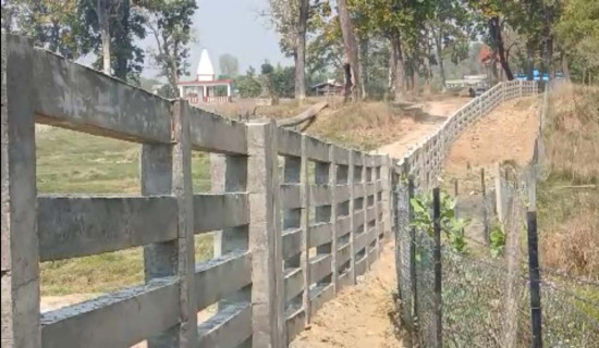वन्यजन्तु रोक्न कङ्क्रिट वाल निर्माण