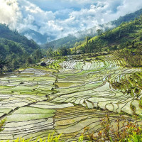 माडीले बगाउँदा दुई जनाको मृत्यु