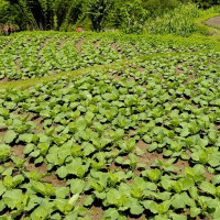 मदन भण्डारी कलेजले साताव्यापी वार्षिकोत्सव मनाउँदै