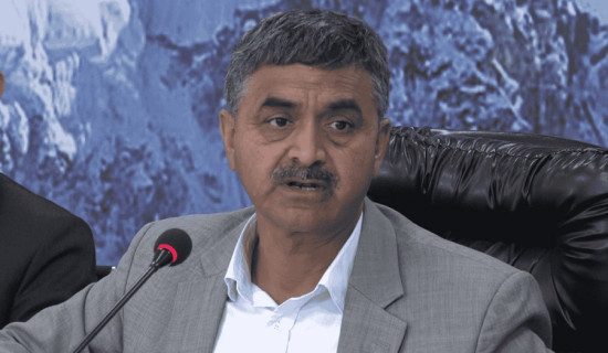निर्माणाधीन संसद् भवनको उपलब्धिबारे तीन दिनभित्र जानकारी गराउन निर्देशन