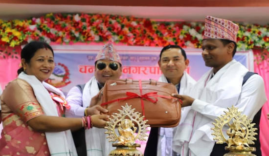 पुलिसले चुम्यो प्रो क्लब टी–२० उपाधि