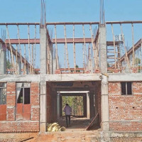स्यालको आक्रमणबाट १० जना घाइते
