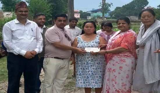 दरबार सङ्ग्रहालयप्रति आकर्षण बढ्दै