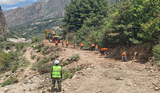 नगरस्तरीय प्रथम मेयर कप क्रिक्रेट प्रतियोगिता हुने