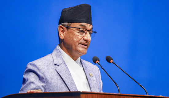 भिजिट भिसा प्रकरण : छानबिन गर्न उच्चस्तरीय छानबिन समिति गठन