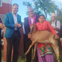 हिमालमा पनि बढ्यो तापक्रम