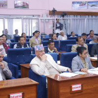 खडेरीले बारीमै सुके मकै, धानको ब्याडमा धाँजा फाट्यो