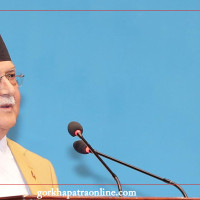 खडेरीले बारीमै सुके मकै, धानको ब्याडमा धाँजा फाट्यो