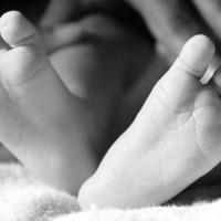 राष्ट्रपति पौडेलद्वारा देउडा सांस्कृतिक उत्सवको उद्घाटन