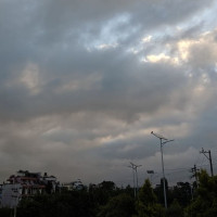 दमकमा एक लाख फलफूलका बिरुवा रोपिँदै