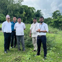 दमकमा एक लाख फलफूलका बिरुवा रोपिँदै
