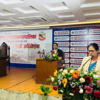 दमकमा एक लाख फलफूलका बिरुवा रोपिँदै