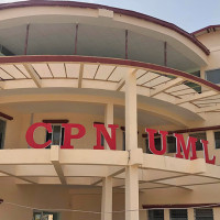 दमकमा एक लाख फलफूलका बिरुवा रोपिँदै
