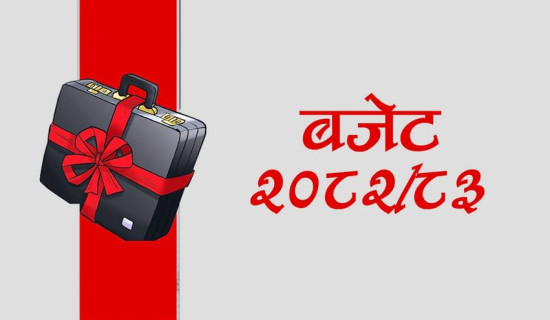 इलामका १० पालिकाको बजेट सार्वजनिक