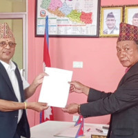 मकैको बीउ उत्पादन गर्दै हरिहरपुरगढी