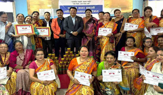 अर्थतन्त्र चलायमान बनाउन महिलाको भूमिका महत्त्वपूर्ण छ : उपप्रधानमन्त्री सिंह