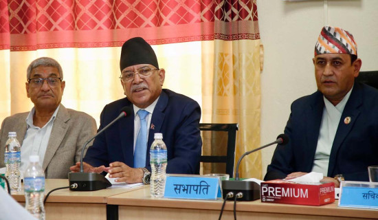 संसदीय समितिमा सर्वसम्मत पारित भएका विधेयकमाथि छेडखानी नहोस् : अध्यक्ष प्रचण्ड