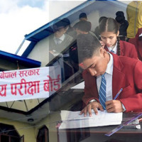 उपत्यकामा ज्याकारान्डाको सुन्दरता (फोटो फिचर)