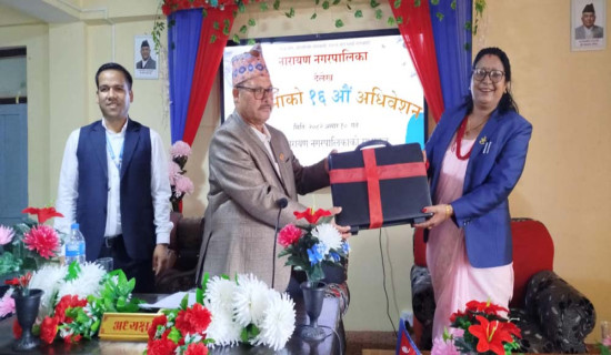 सामाजिक विकास, पूर्वाधार र शिक्षा प्राथमिकता