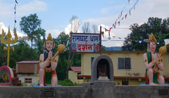 बिक्रीमा राखिएका ढाकी