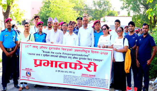 बिक्री भएन दाङमा उत्पादित मह