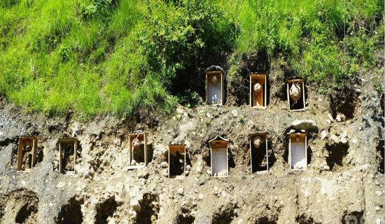 तिङ्करमा मतदान सकियो