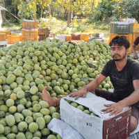 संसद समीक्षा : सरकारमाथि निगरानी र विधायिकी भूमिका बढाउनु अपरिहार्य
