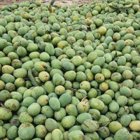 किसान श्रीराम घिमिरेको अनशन तोडियो