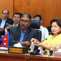 चेकजाँचका क्रममा भागेको कार दुर्घटना, चार सय २१ किलो गाँजा बरामद
