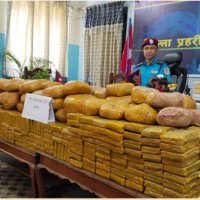 चेकजाँचका क्रममा भागेको कार दुर्घटना, चार सय २१ किलो गाँजा बरामद