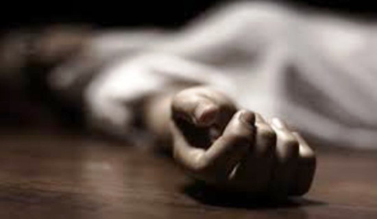 लेबनानमा इजरायली हवाई आक्रमणबाट हिजबुल्लाहका दुई सदस्यको मृत्यु