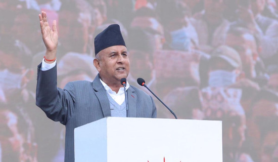 तोरी उत्पादन बढ्ने आशा