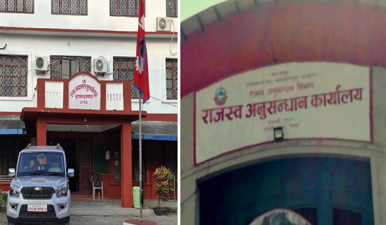 ललितपुर महानगर प्रमुखमा काँग्रेसको अग्रता