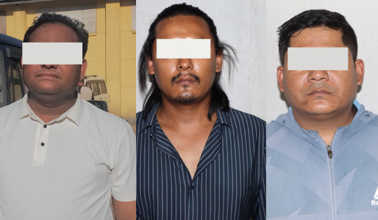 राजनीतिक पार्टीको अनुशासनहीनता अस्थिरताको कारक : सांसद यादव