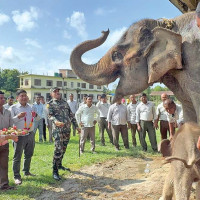 रोम विधान अनुमोदन गर्न माग गर्दै ज्ञापनपत्र