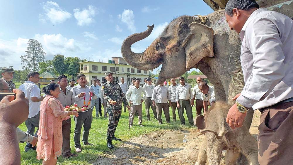 धार्मिक विधिबाट छावाको न्वारान