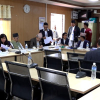 रोम विधान अनुमोदन गर्न माग गर्दै ज्ञापनपत्र