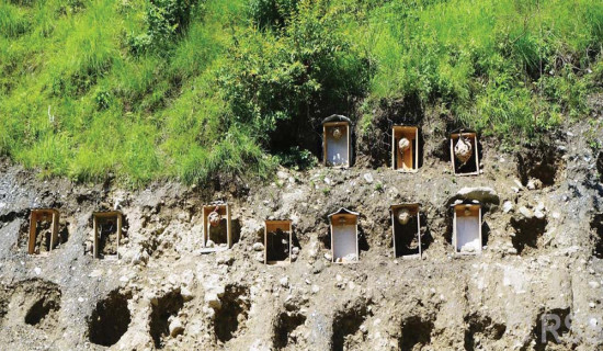 अरिङ्गाल पालेर राम्रो कमाइ