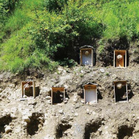 सुमन र सम्पदा उत्कृष्ट खेलाडी