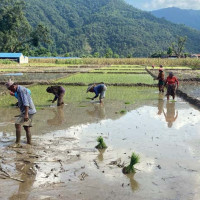 एक सय ८० घरधुरीमा खानेपानीको धारा