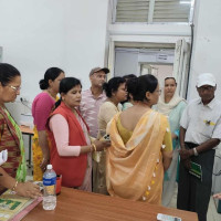 चिया खेतीबाट देखियो आम्दानीको सम्भावना