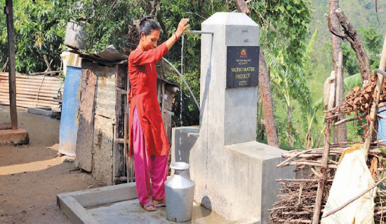 चिया खेतीबाट देखियो आम्दानीको सम्भावना