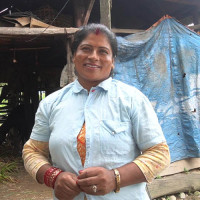 सूर्योदय नगरपालिकामा प्राङ्गारिक चियाखेती अभियान