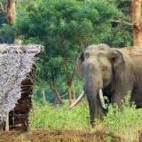 खोलाले बगाएर एकको मृत्यु