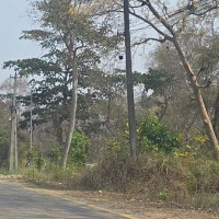 तीर्थस्थलको प्रचारमा धार्मिक गुरु र जनप्रतिनिधि