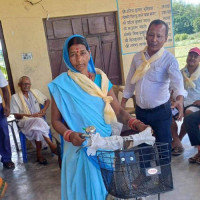 मातृभाषाको महत्त्व