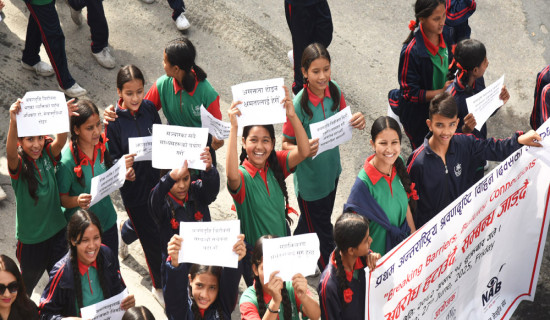 प्रथम अन्तर्राष्ट्रिय श्रवण दृष्टिविहीन दिवस (फाेटाे फिचर)